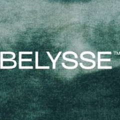 Belysse