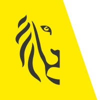 Audit Vlaanderen